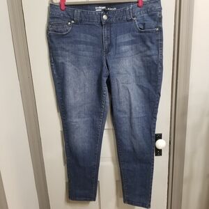 Lane Bryant Medium Wash Jegging Jeans